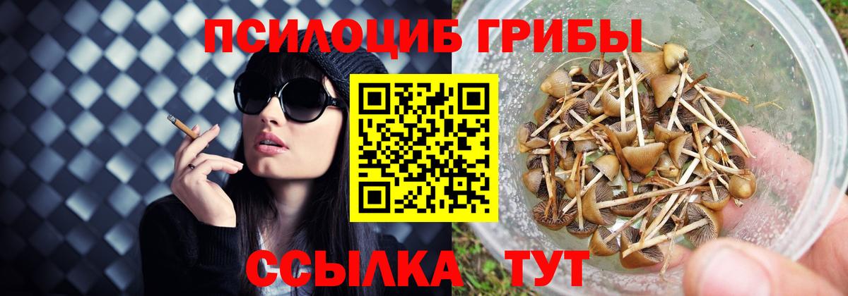 Галлюциногенные грибы GOLDEN TEACHER Курганинск