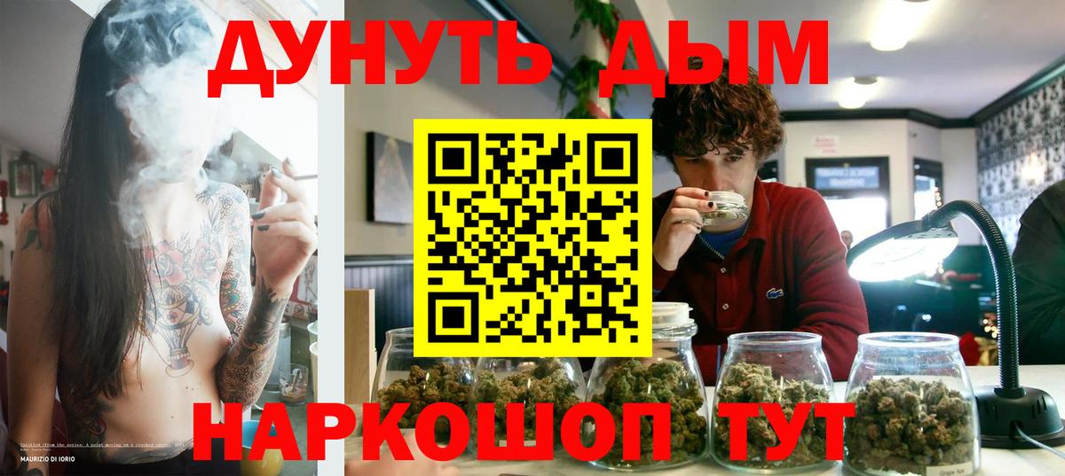 Бошки марихуана сатива Курганинск